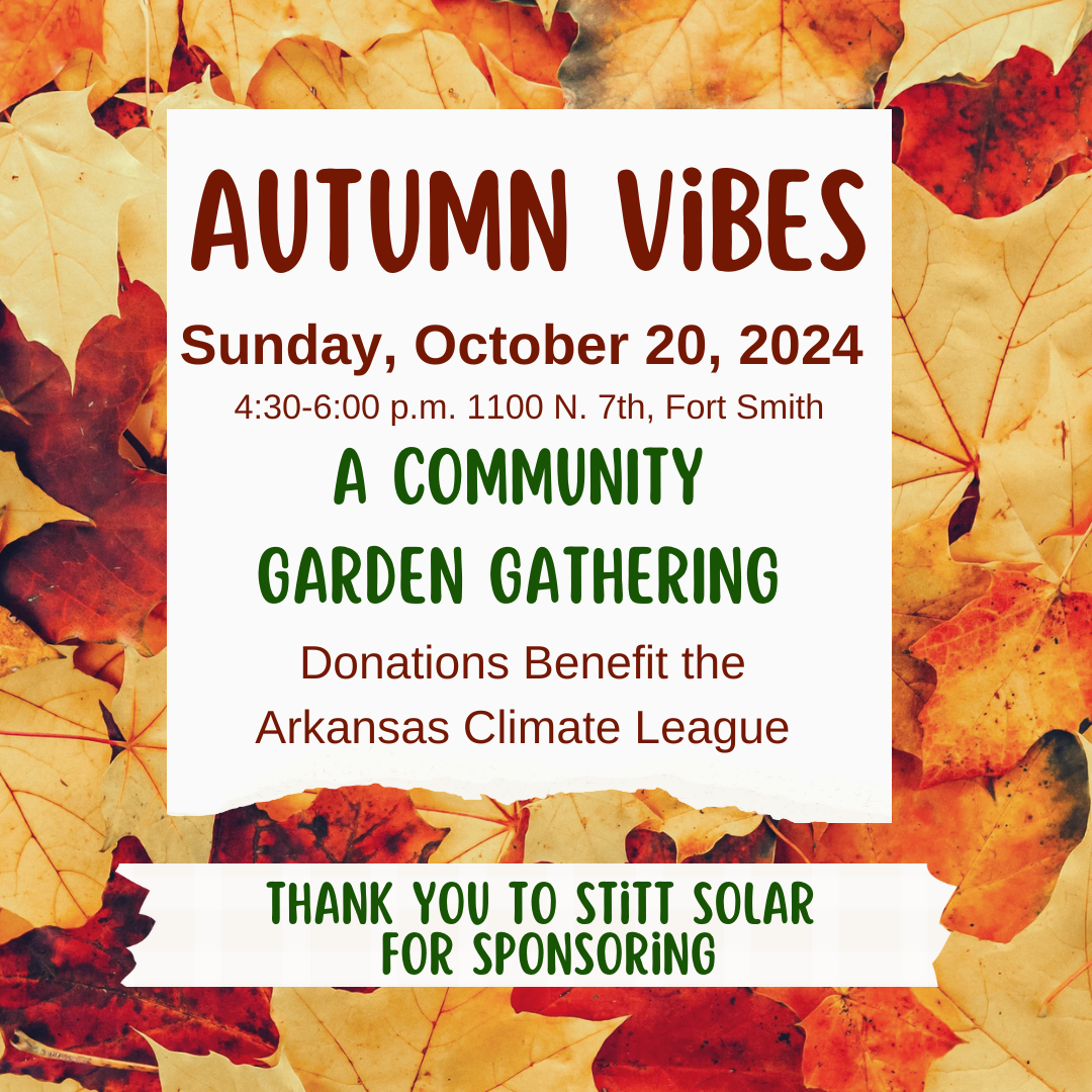 Save the Date: Autumn Vibes 2024